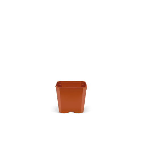 Maceta Cuadrada 7×7 cm Verde Paquete 50 piezas | Matec
