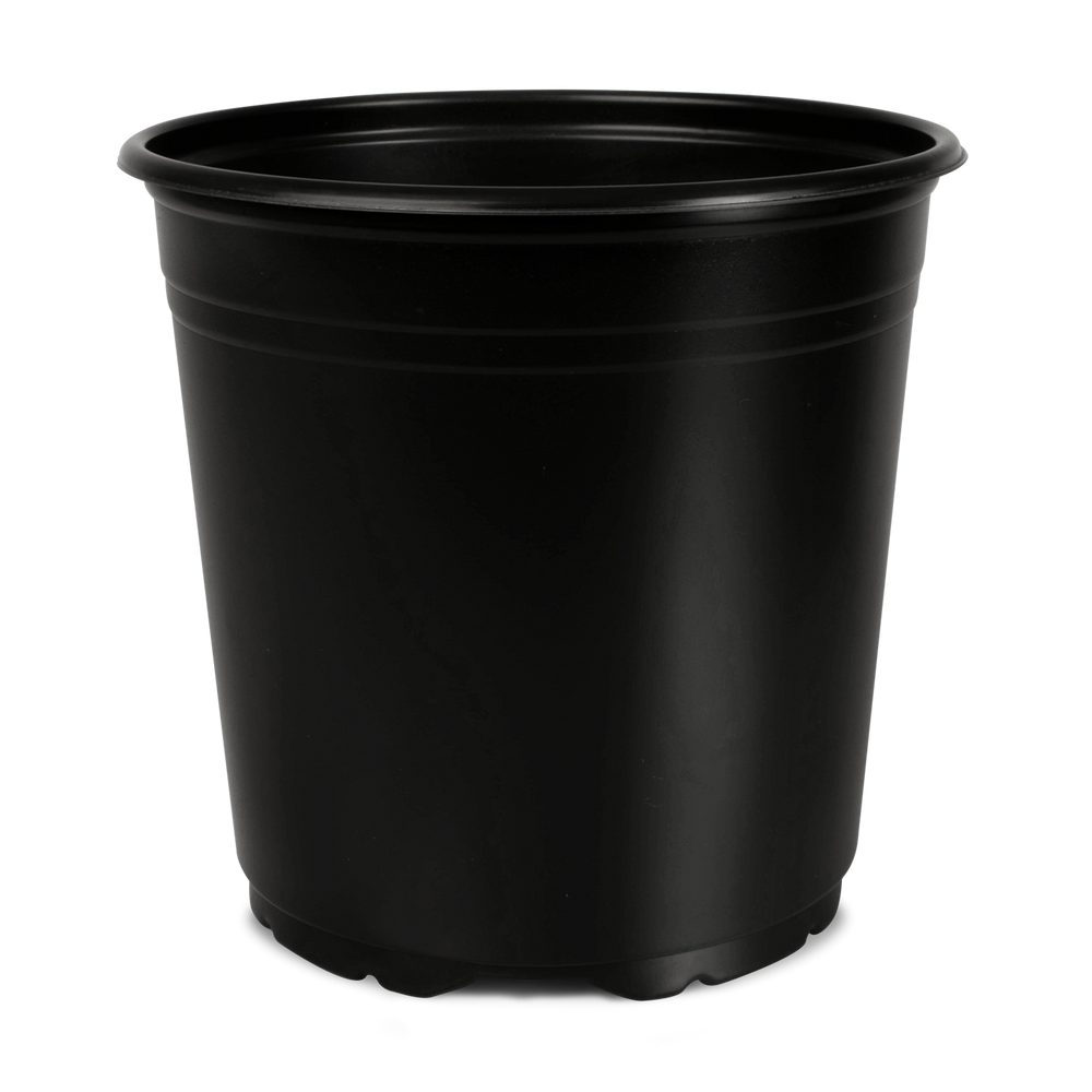Maceta de Galón Negra Paquete 20 piezas | Matec