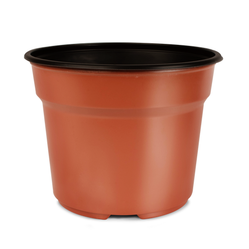 Maceta Baja 6¾ pulgadas Terra Paquete 20 piezas | Matec