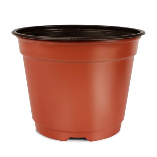 Maceta Baja 7 pulgadas Terra Paquete 20 piezas | Matec