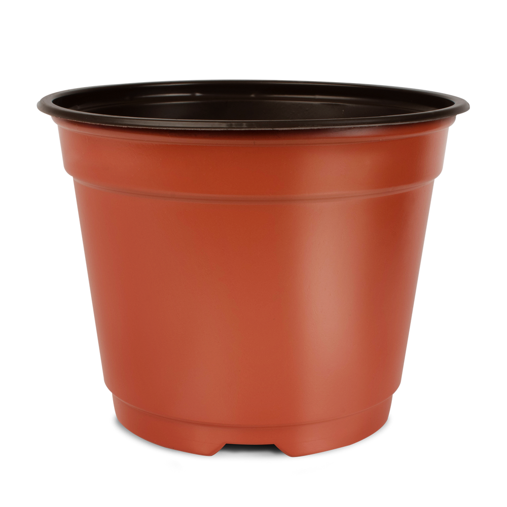 Maceta Baja 7 pulgadas Terra Paquete 20 piezas | Matec