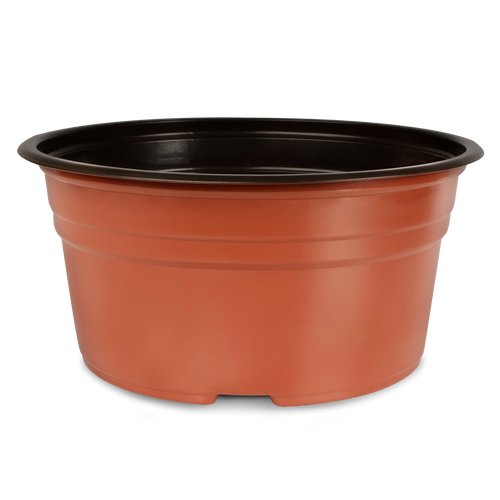 Maceta Extra Baja 8 pulgadas Terra Paquete 20 piezas | Matec