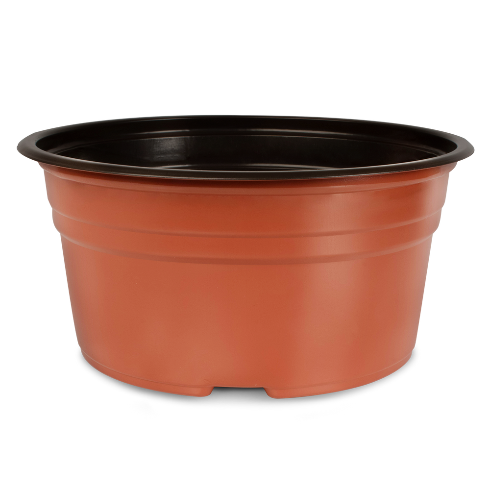 Maceta Extra Baja 8 pulgadas Terra Paquete 20 piezas | Matec