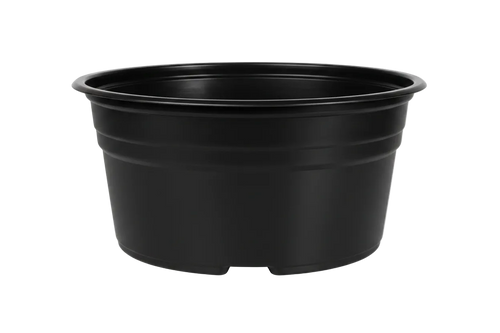 Maceta Extra Baja 8 pulgadas Negra Paquete 20 piezas | Matec