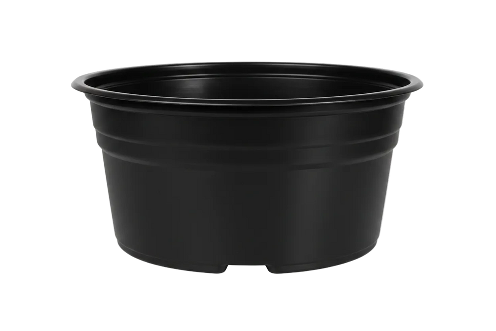 Maceta Extra Baja 8 pulgadas Negra Paquete 20 piezas | Matec