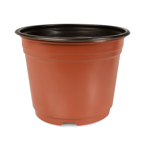 Maceta Baja 8 pulgadas Terra Paquete 20 piezas | Matec