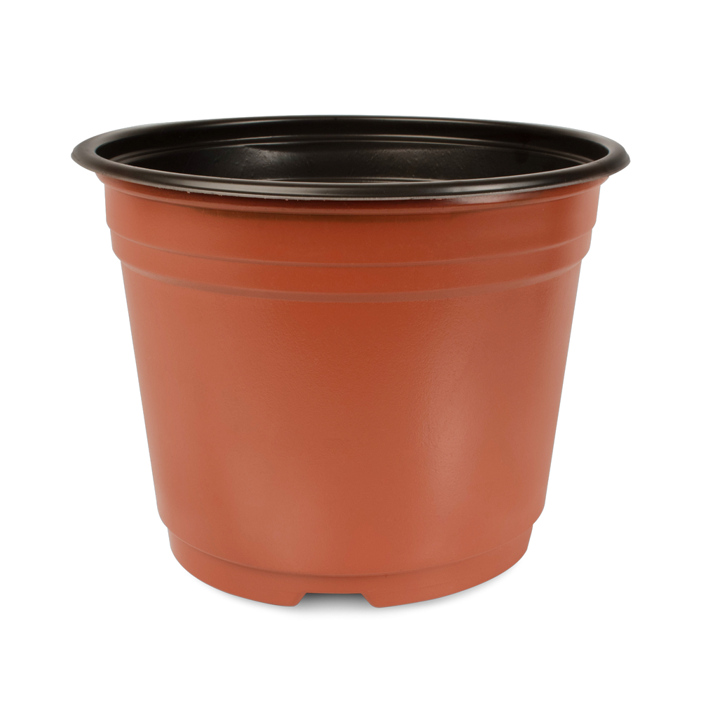 Maceta Baja 8 pulgadas Terra Paquete 20 piezas | Matec