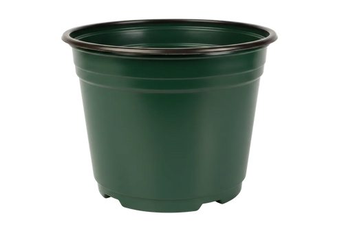 Maceta Baja 8 pulgadas Verde Paquete 20 piezas | Matec