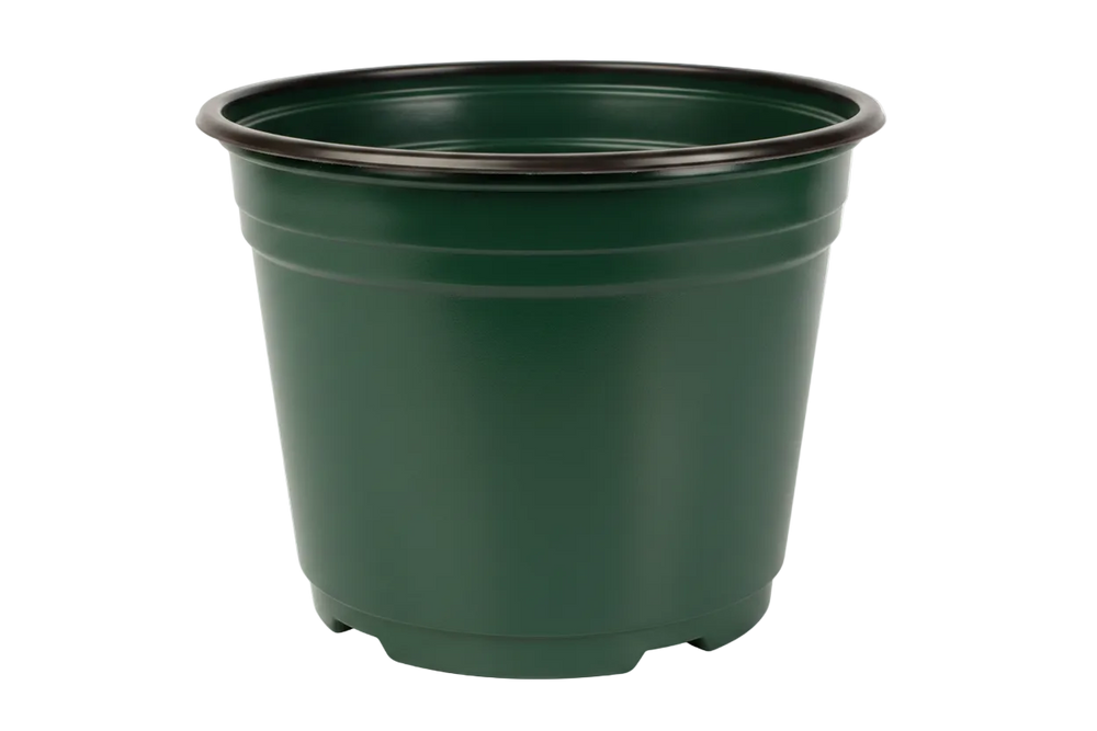 Maceta Baja 8 pulgadas Verde Paquete 20 piezas | Matec
