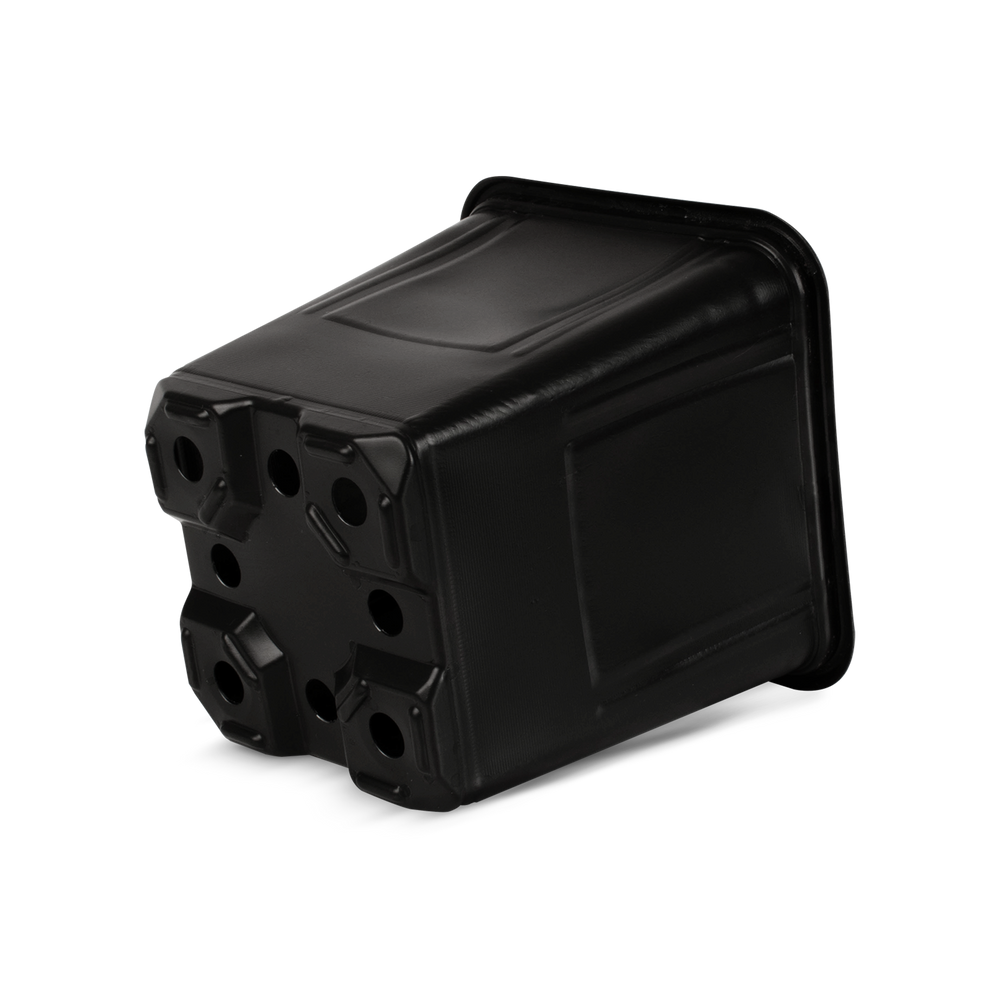 Ecopot 10×10×11.5 cm Negra Paquete 100 piezas | Matec