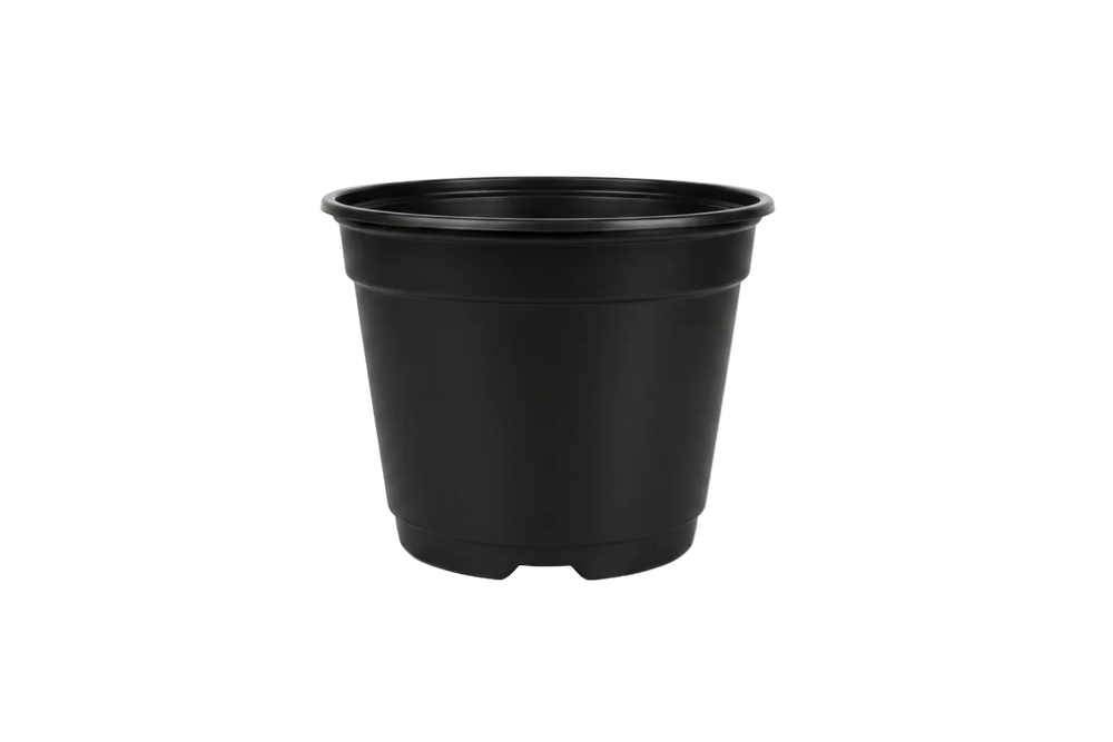 Maceta Pesada 7 pulgadas Negra Paquete 20 piezas | Matec