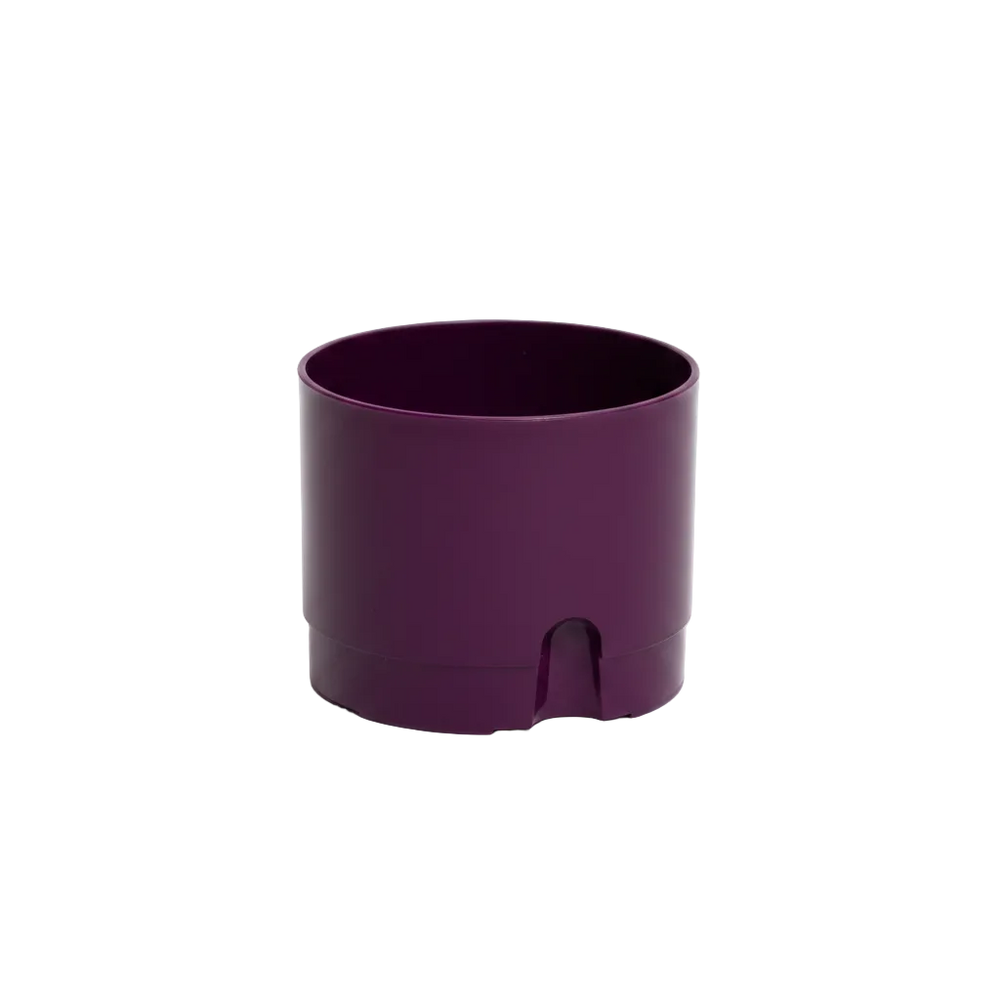 Maceta Decorativa 6 pulgadas Morada Paquete 6 piezas | Matec