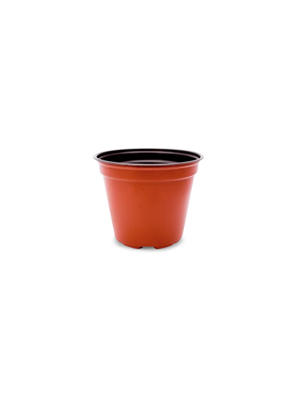 Maceta Baja 5½ pulgadas Terra Paquete 20 piezas | Matec