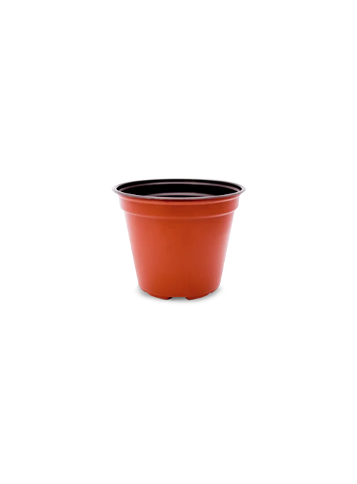 Maceta Baja 5½ pulgadas Terra Paquete 20 piezas | Matec