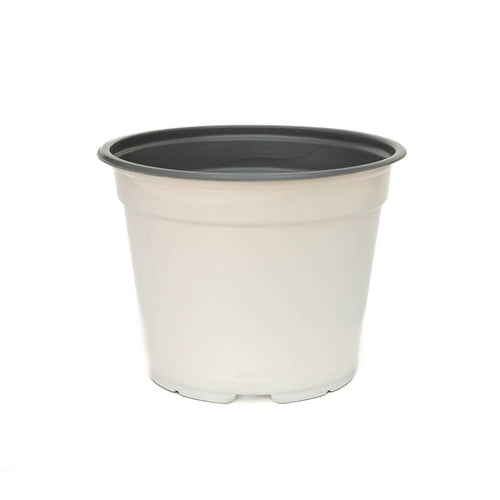 Maceta Baja 7 pulgadas Blanca Paquete 20 piezas | Matec
