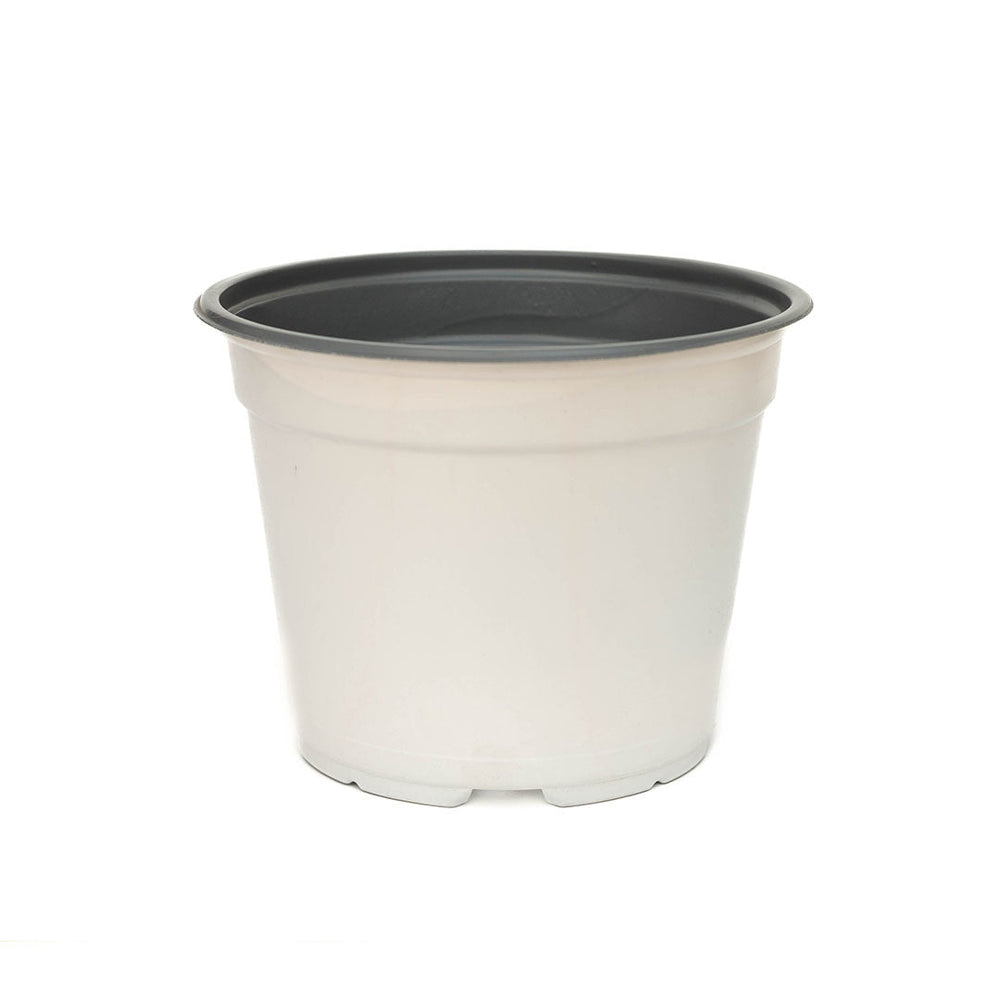 Maceta Baja 7 pulgadas Blanca Paquete 20 piezas | Matec