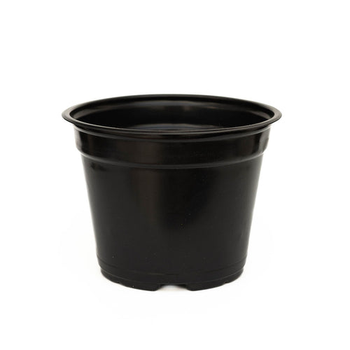 Maceta Baja 7 pulgadas Negra Paquete 20 piezas | Matec