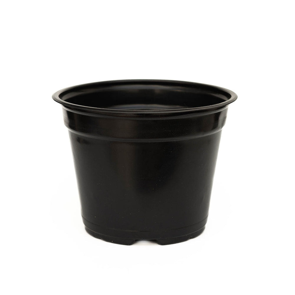 Maceta Baja 7 pulgadas Negra Paquete 20 piezas | Matec