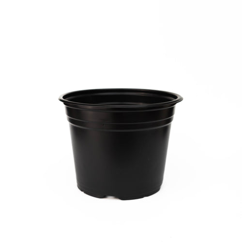Maceta Baja 8 pulgadas Negra Paquete 20 piezas | Matec